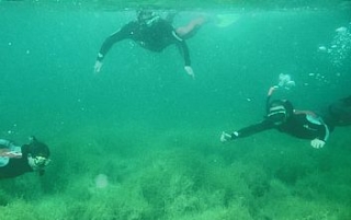 Divers plongeurs 